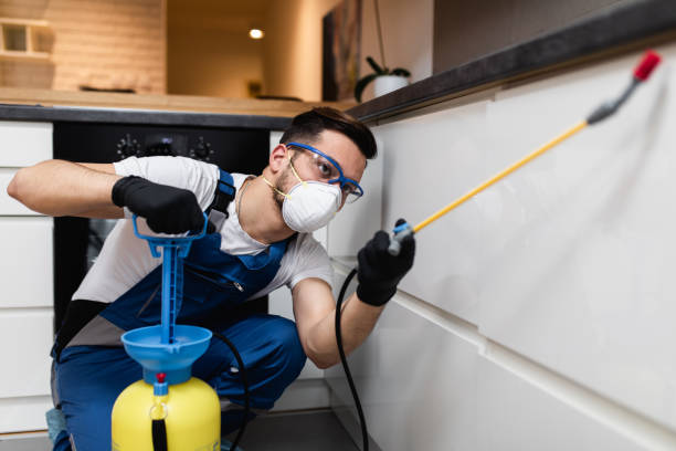 Best Affordable Pest Control Services  in Narragansett Pier, RI