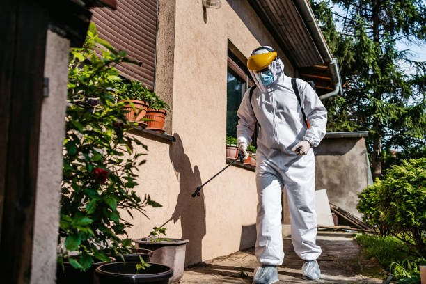 Best Local Pest Control Services  in Narragansett Pier, RI