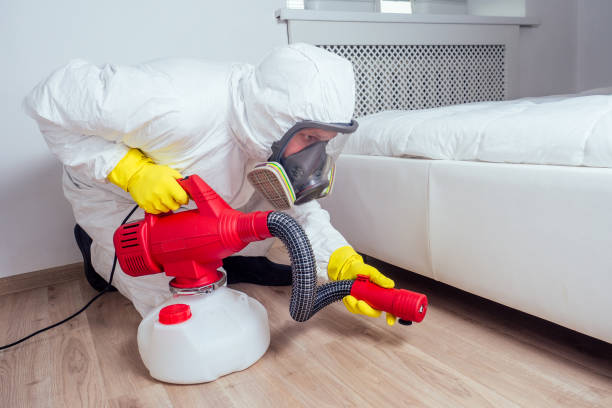 Best Local Pest Control Services  in Narragansett Pier, RI