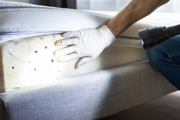 Best Commercial Pest Control Services  in Narragansett Pier, RI