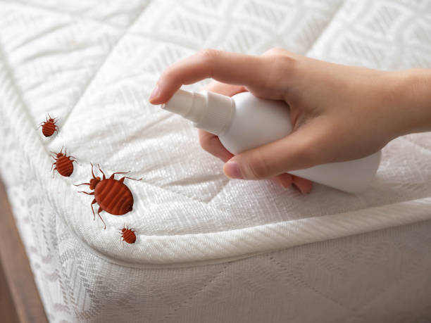 Best Pest Removal Services  in Narragansett Pier, RI