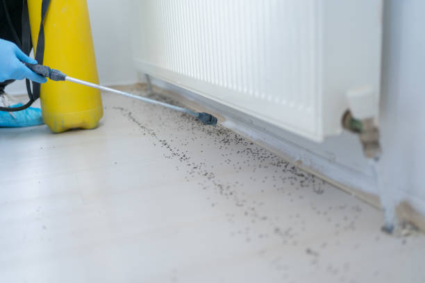 Trusted Narragansett Pier, RI Pest Control Experts