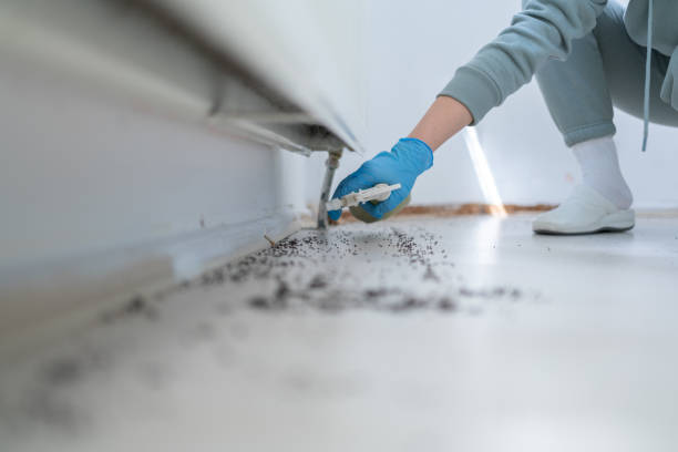 Best Mosquito Control Services  in Narragansett Pier, RI